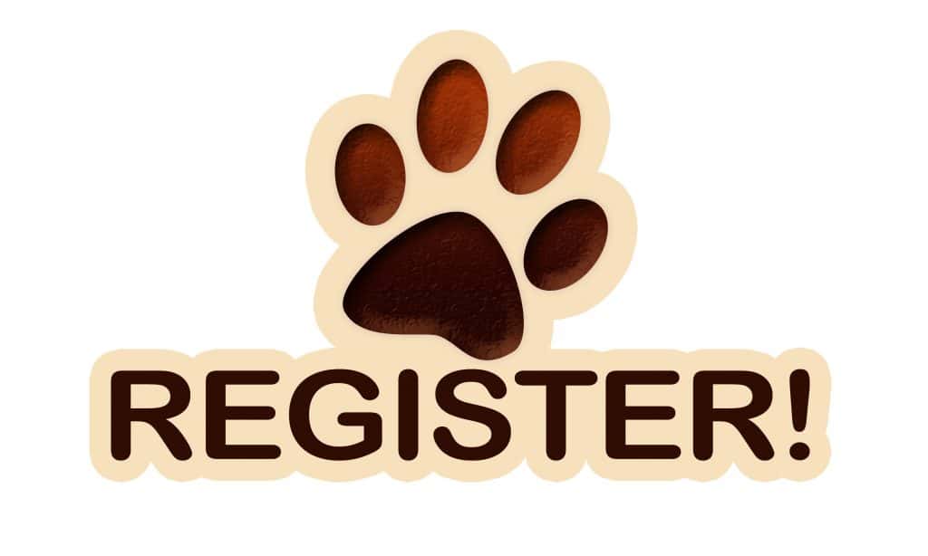 AKC Registration is Important to Dog WelfareFureverDogMa