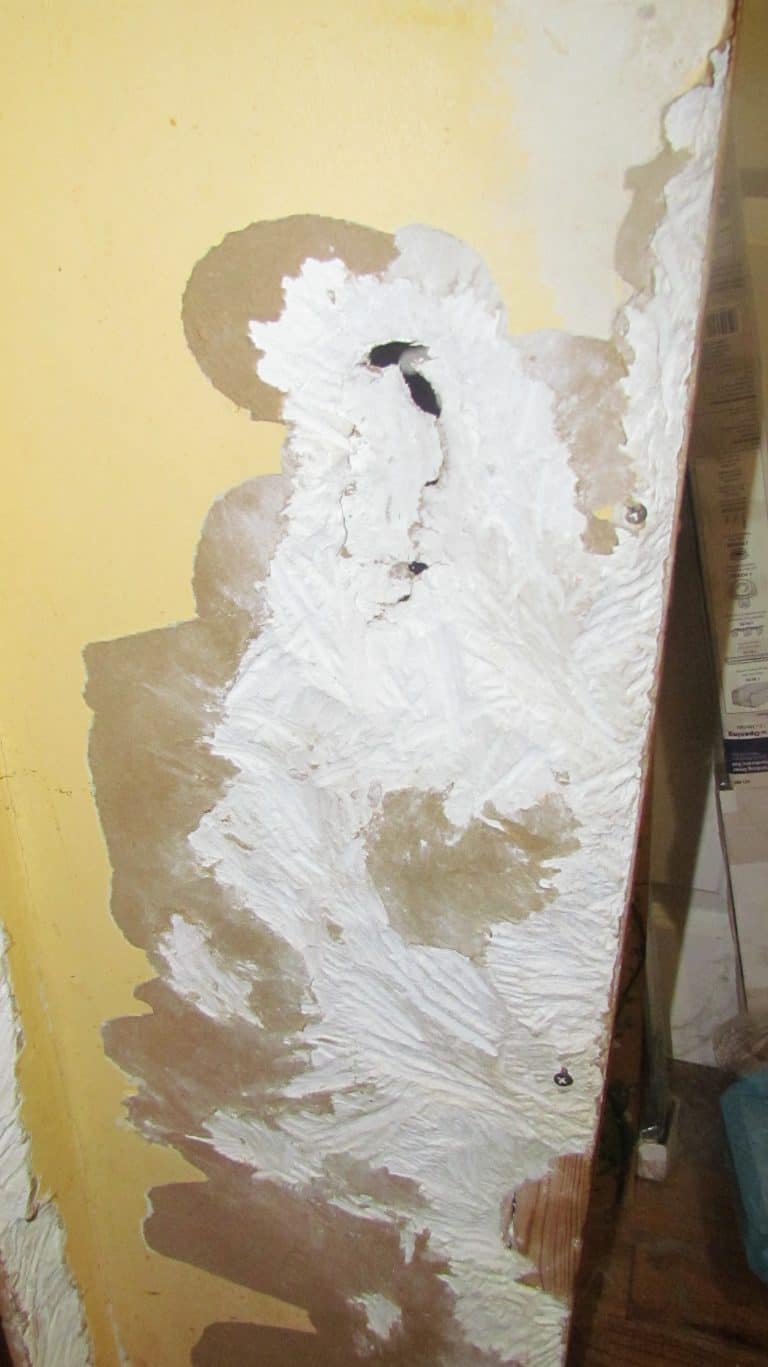 Dog Eating Drywall? How to Stop Your Dog From Destroying Your Walls!